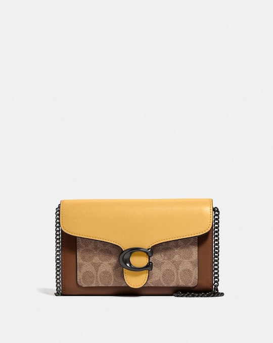 TABBY CHAIN CLUTCH IN COLORBLOCK SIGNATURE CANVAS