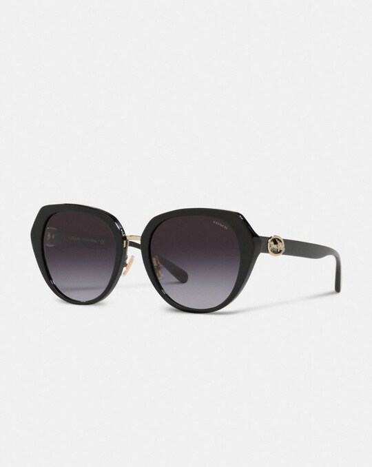 HORSE AND CARRIAGE OVERSIZED ROUND SUNGLASSES