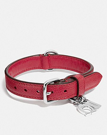 Pet Accessories: Collars & Leashes | COACH
