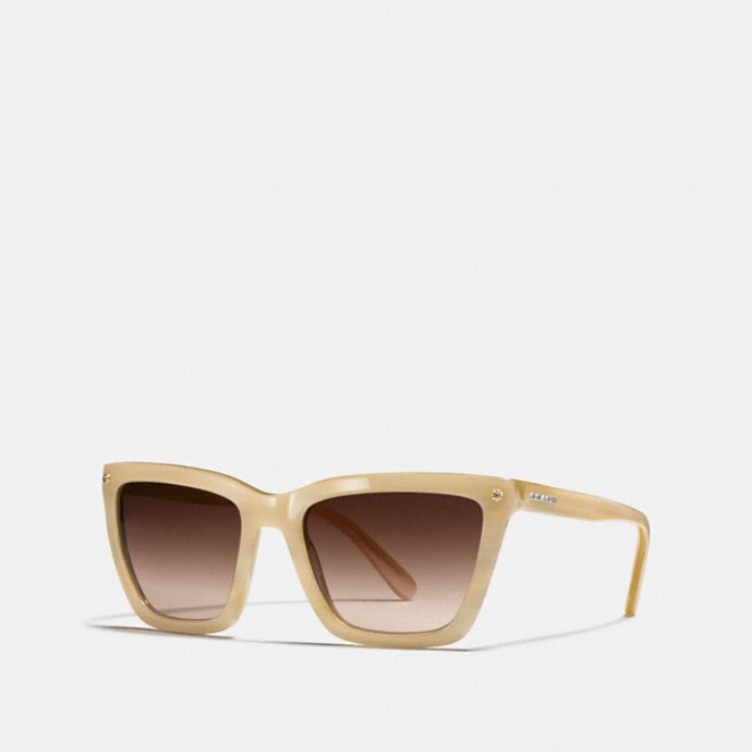 COACH: Women's Sunglasses